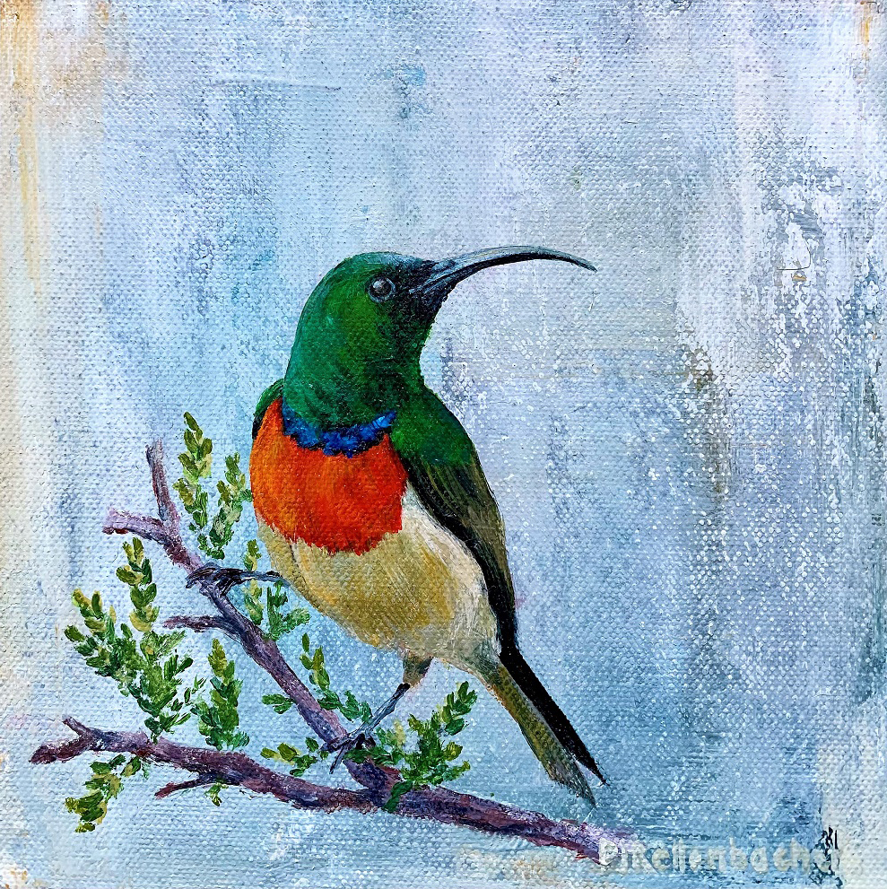 Sunbird